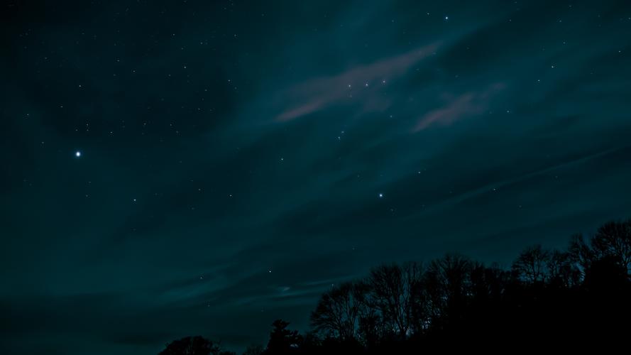 星空,天空,夜晚,树木,剪影 4k