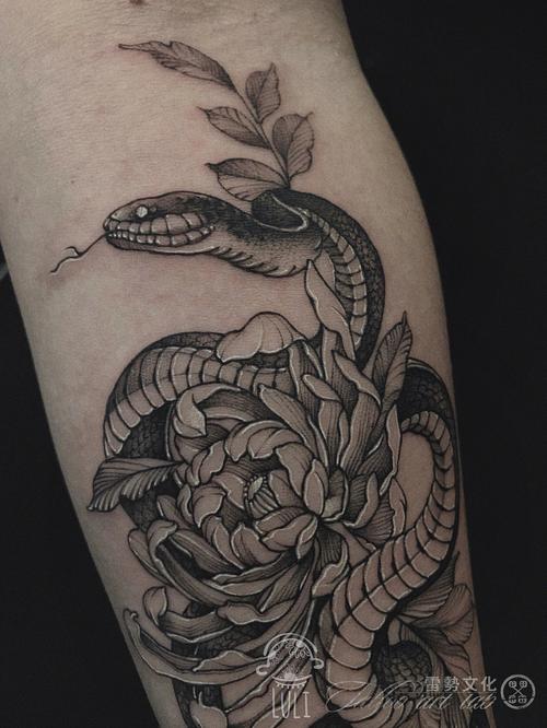 蛇和花花