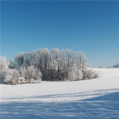 冬天唯美的雪景头像下雪的冬天是极其美丽的
