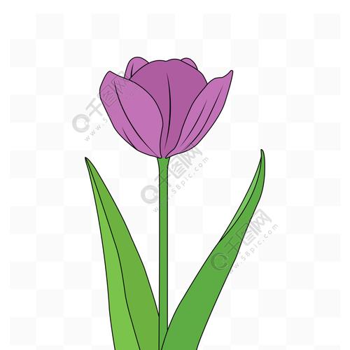 简约手绘卡通矢量紫色郁金香花朵插画元素 模板免费下载_psd格式_3072
