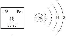 铁元素的相关信息如图所示,下列有关铁的说法正确的是a.