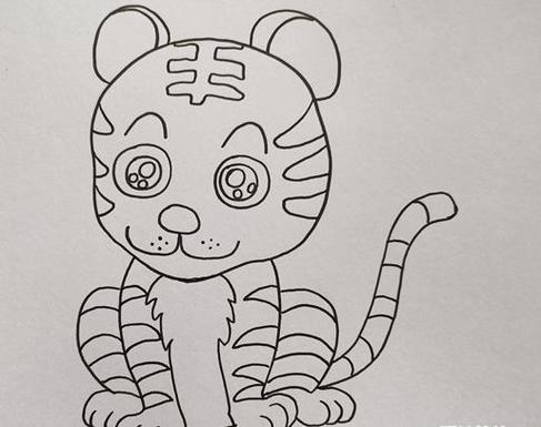 画动物老虎儿童简笔画大全老虎可爱小老虎动物简笔画步骤图片大全标签