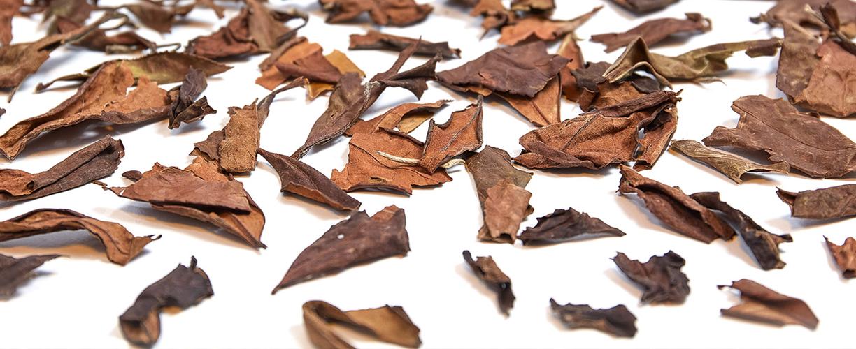 loose leaf teas by in nature teas