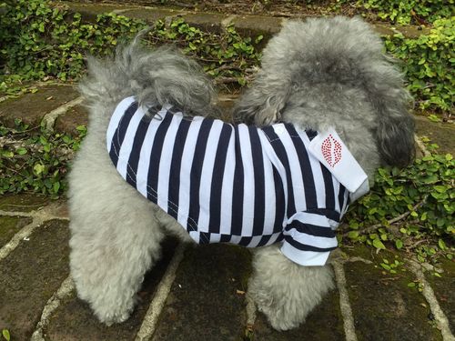 clothing - hello doggie navy lips small dog polo