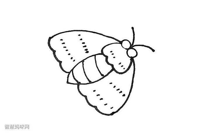 如何画蛾子简笔画步骤图蚕蛾怎么画动物简笔画简笔画大全怎样画飞蛾的
