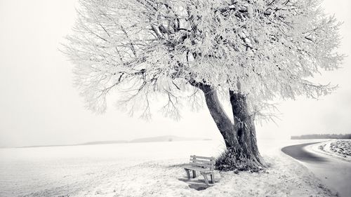 冬天雪长凳树霜-2016自然高清壁纸
