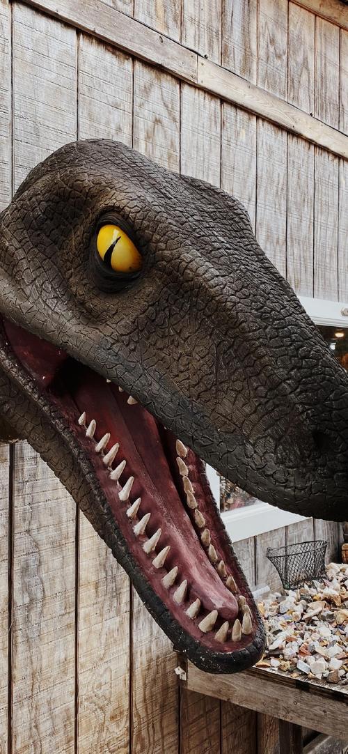 侏罗纪世界恐龙高清手机壁纸