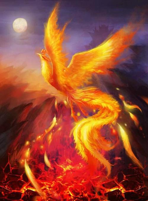 浴火凤凰,涅槃重生,是指凤凰在火中重生并且得到永生;经过火的燃烧后