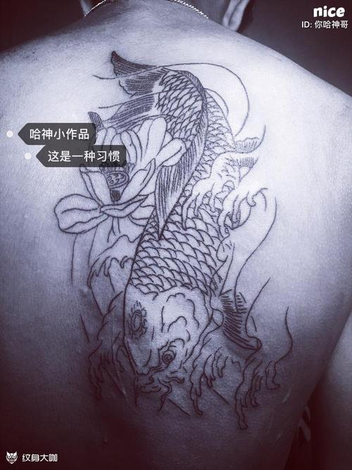 鲤鱼线条_纹身图案手稿图片_陀地tattoo哈神的纹身作品集