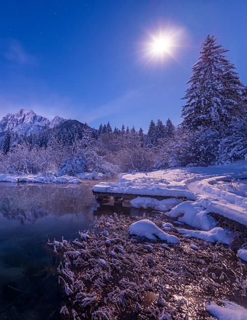 斯洛文尼亚,冬季,湖泊,zelenci,雪,太阳,云杉属,大自然,照片