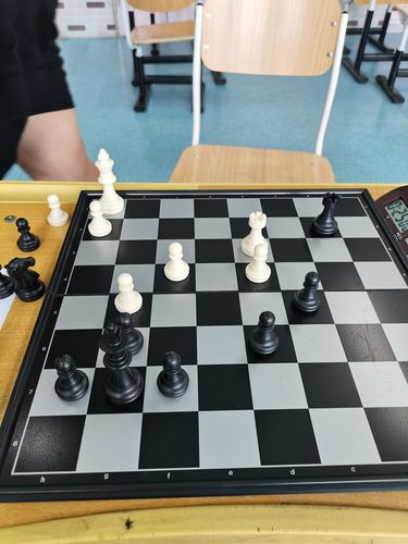 棋子的摆放 教学目标: 带孩子们走进国际象棋世界,熟练掌握棋盘,谱佑