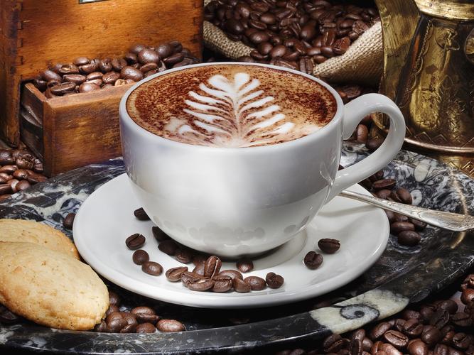 一杯卡布奇诺咖啡,茶碟,谷物,饼干 壁纸 - 1600x1200