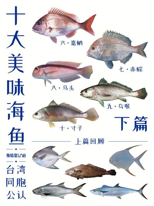 台湾十大美味海鱼榜下你吃过多少呢