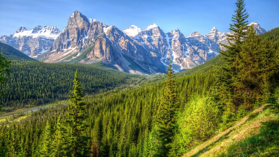 加拿大,山,树,森林,蓝天,班夫公园 壁纸