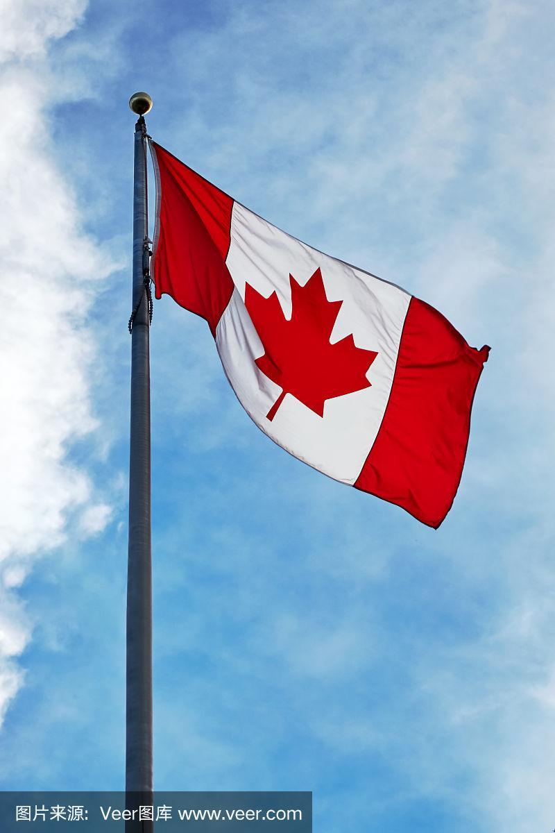 加拿大国旗飘扬在蓝天和白云上