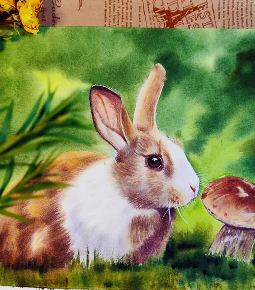 今天画了一只小可爱水彩兔子