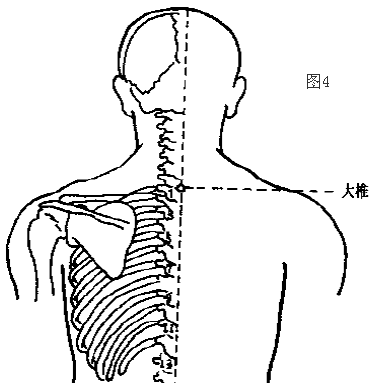 5,风门:在背部,于第2胸椎棘突下(即大椎穴下2个棘突),自正中线向左右