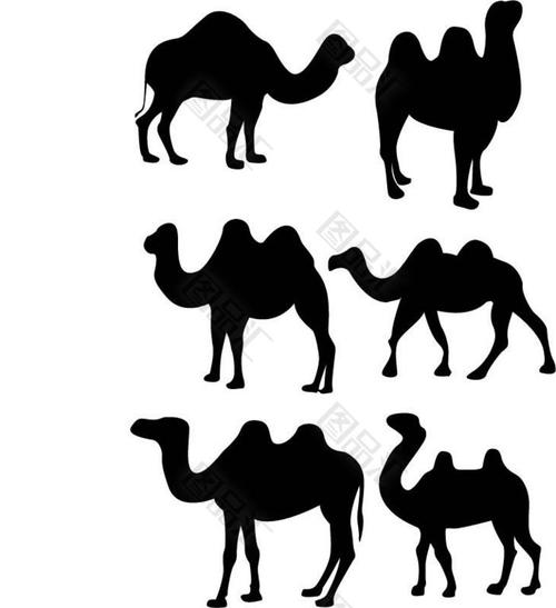骆驼剪影素材矢量