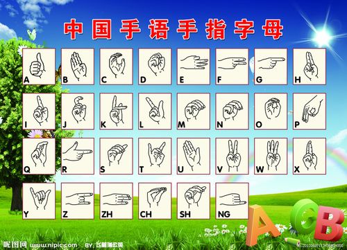 中日手语手指语,词汇构成和句式表达的比较-学路网-学习路上 有我相伴