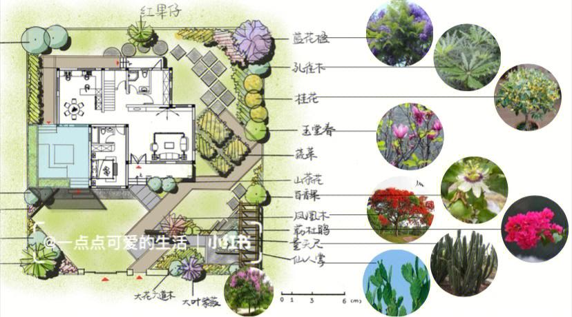庭院设计手绘图附植物配置别墅装修
