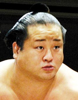 武藏丸1994年取得头衔,他在同年举行的比赛中,赢得了作为幕内力士的第