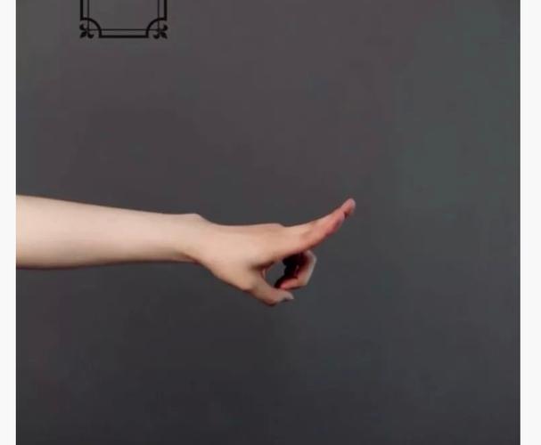 5.剑指:食指与中指并拢并保持指尖的力量感,其余三指相扣形成空心.