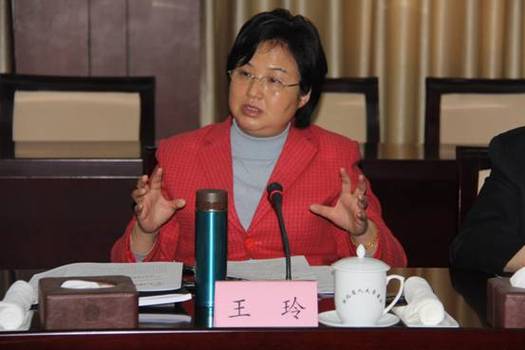 省人大常委会副主任王玲出席会议并作重要讲话