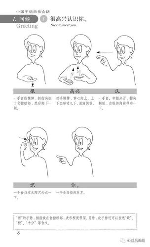 中国手语日常会话问候很高兴认识你