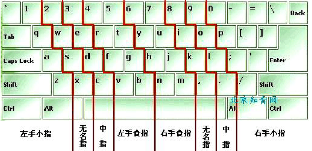 电脑键盘指法练习操作姿势及指法