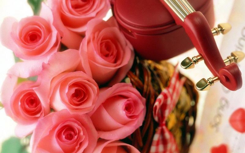 娇艳欲滴的浪漫幸福火红玫瑰花高清桌面壁纸(一)
