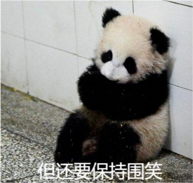 熊猫的委屈表情包我活得好悲伤我坐在地上拉肖邦