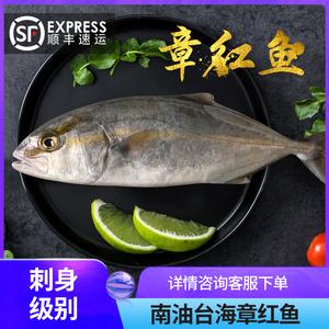 章红鱼刺身级别海鲜水产鲜活南油台海红甘鱼10~13斤/条刺身章雄鱼