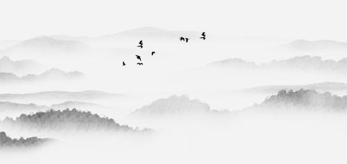 中国风水墨黑白山水画