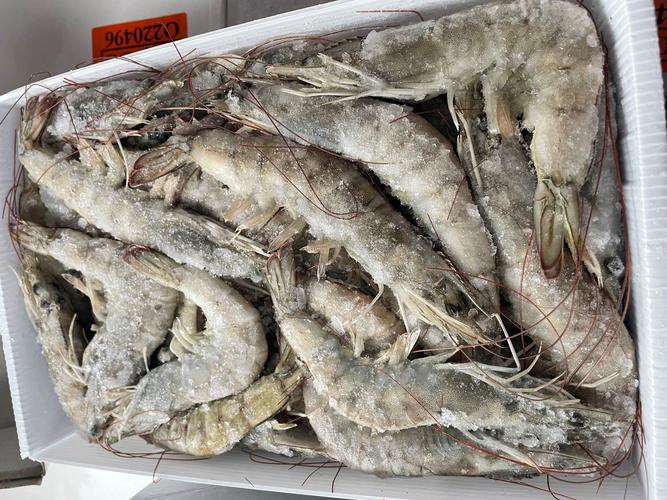 盐冻虾厄瓜多尔白虾盐冻桑塔虾 基围虾南美虾盒装大虾1.65kg-阿里巴巴