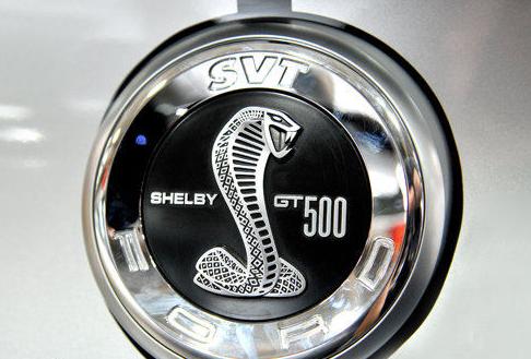 车子的标志是一条磐着的蛇是什么车