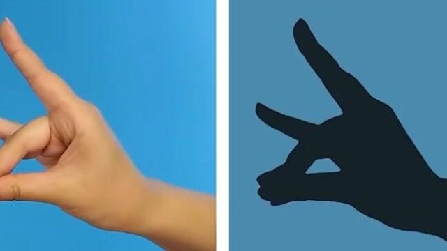 创意手工:手简单的摆出动作,可以投影出各种可爱的动物形状