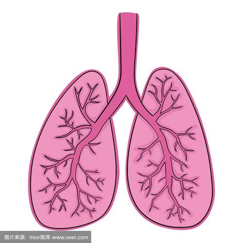 肺涂鸦画