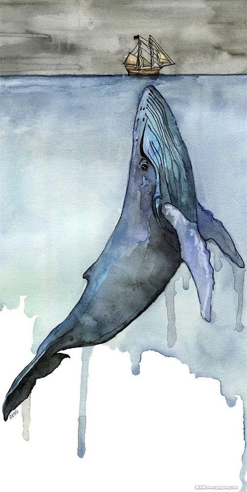 鲸鱼水彩画作品,可爱的鲸鱼水彩画图集