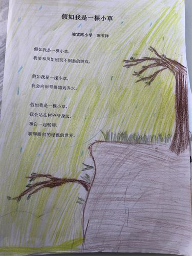 爱诗诵诗写诗—迎宾路小学六年级二班自创诗作