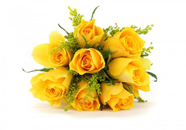 黄玫瑰花高清图片