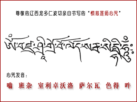 (以上藏文心咒,由 辽西龙多仁波切于3月16日晚亲自书写,并开许 凡有
