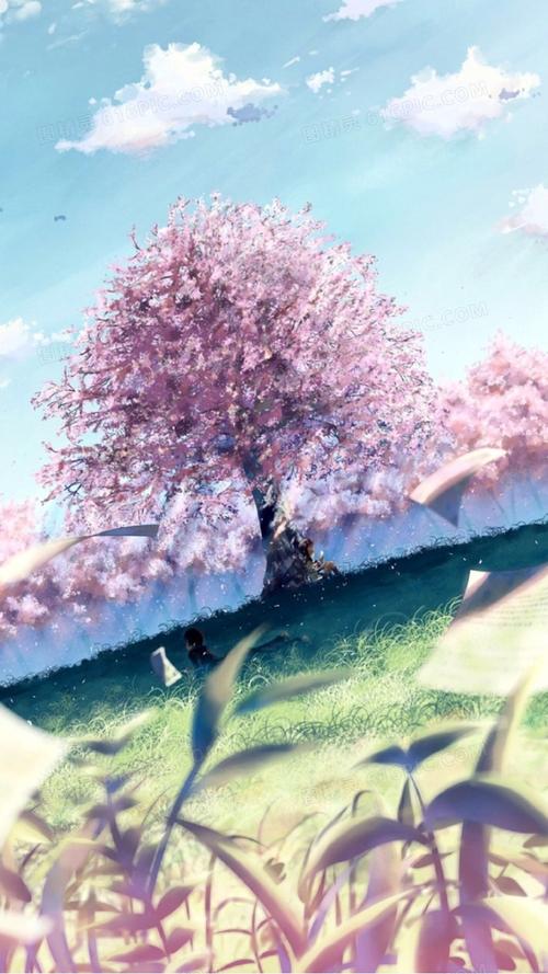 动漫唯美樱花树背景