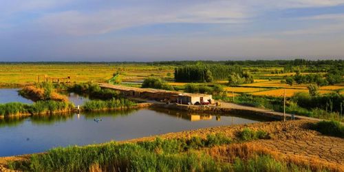 泽普县标签: 国家湿地公园 旅游景点 公园 国家公园  泽普叶尔羌河