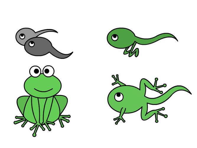 小蝌蚪变青蛙简笔画 小蝌蚪变青蛙怎么画-养娃家