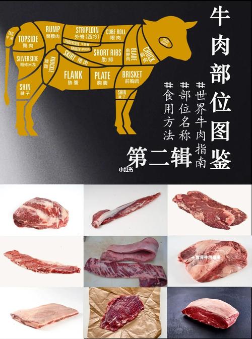 不同牛肉部位怎么吃26615牛小排,里脊,前胸