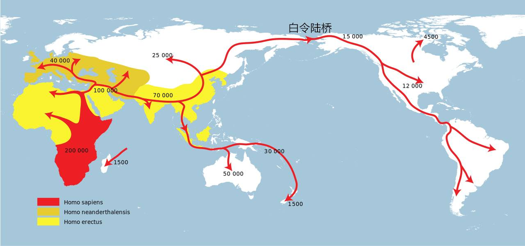 人类迁徙路线图