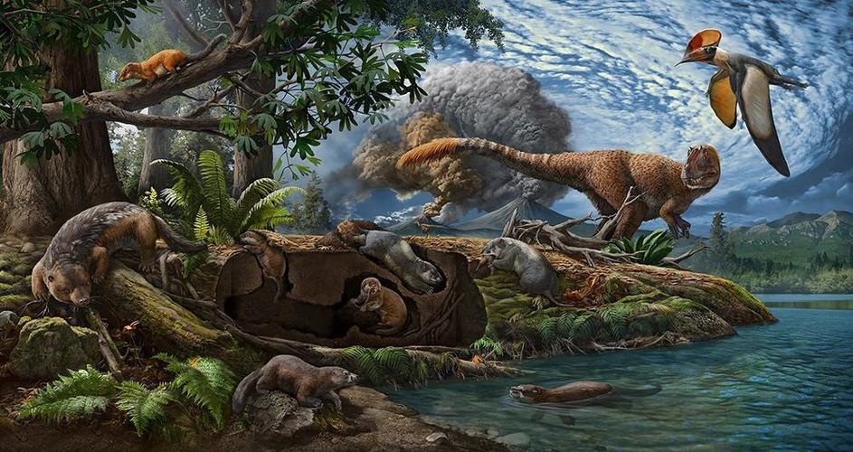 在恐龙时代,哺乳动物都是小不点吗?凶猛爬兽能捕食恐龙_腾讯新闻