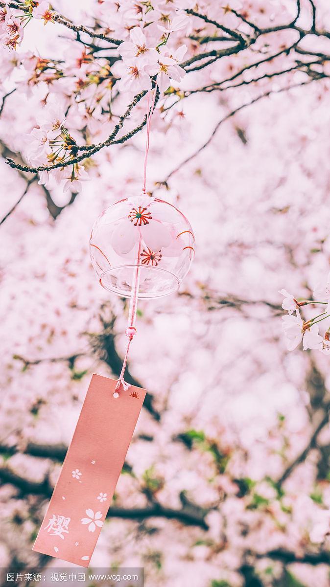 粉色的樱花下的风铃