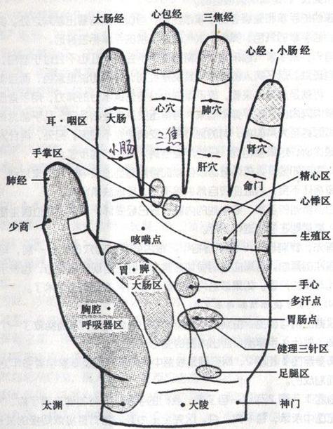 [导读]手部是一个全息元,刺激相应的手部穴位可调
