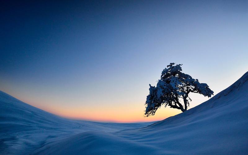 冬季唯美雪景自然风光高清宽屏高清电脑桌面主题壁纸(三)
